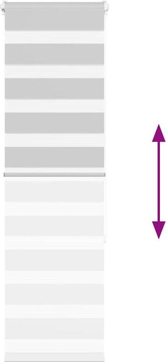 Produktbild vidaXL Zebra-Jalousie (40 x 150 cm)