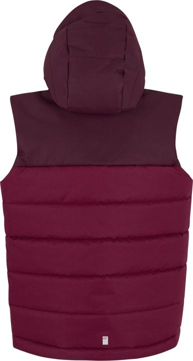 Produktbild Regatta Lofthouse Weste (128)