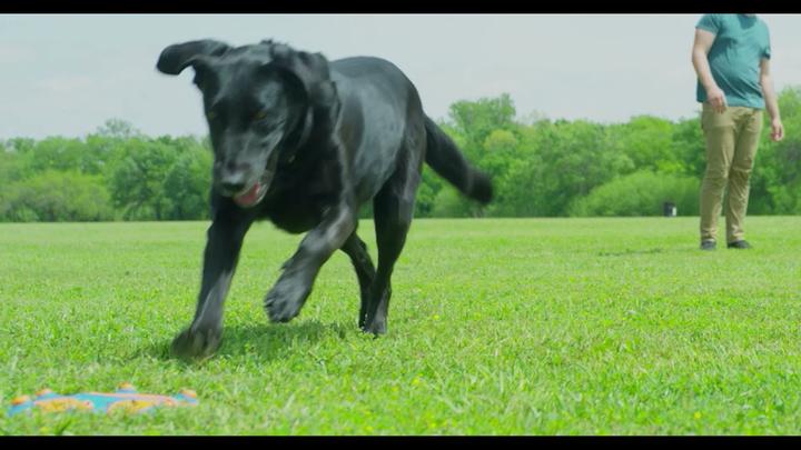 Produktbild Chuckit! Chuckit Pfeifenflug