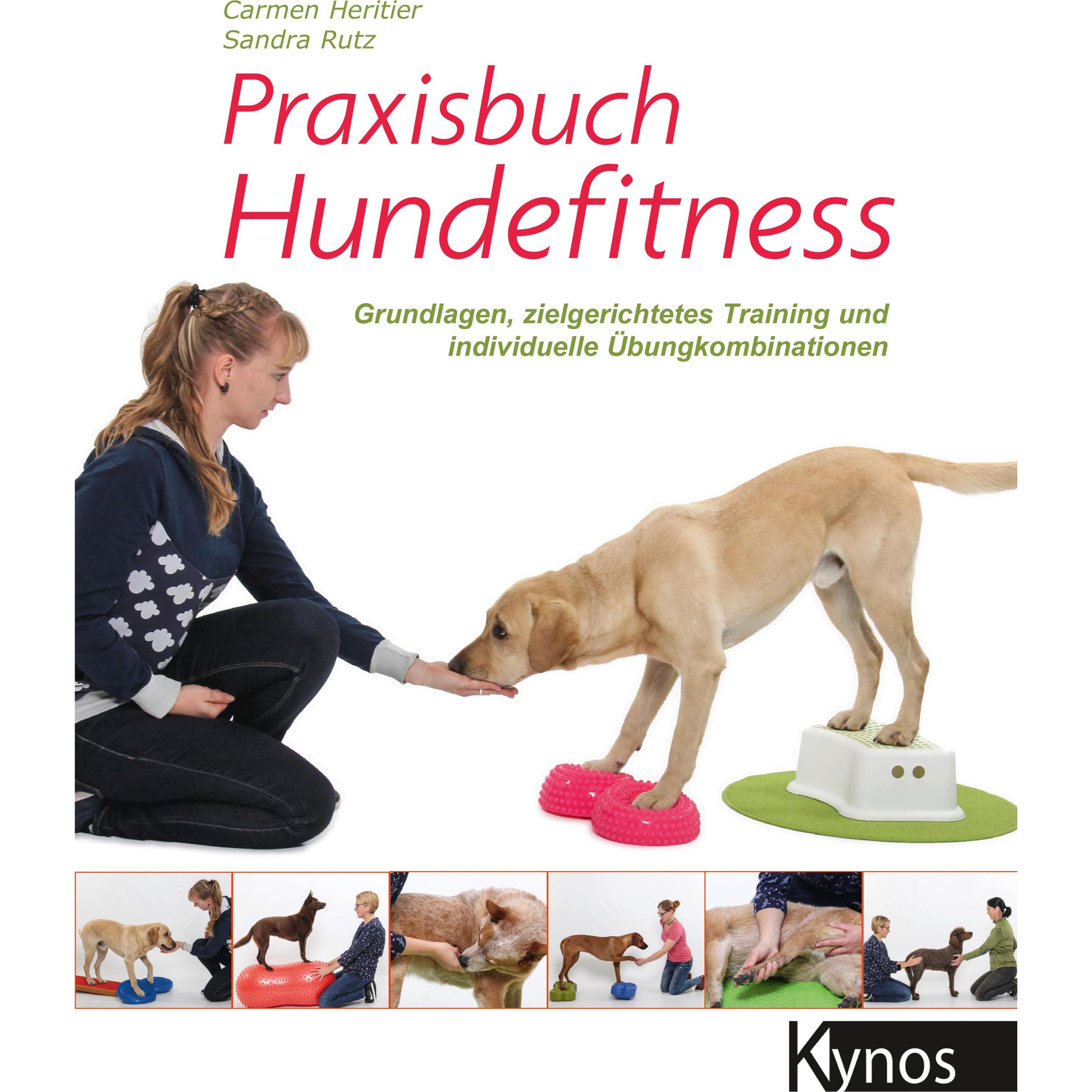 Praxisbuch Hundefitness, Ratgeber von Carmen Heritier, Sandra Rutz