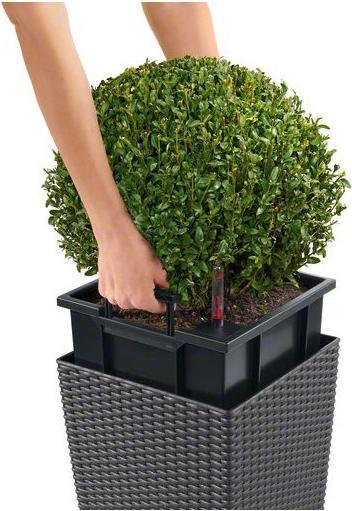 Image du produit Lechuza Cube Cottage (40 cm)