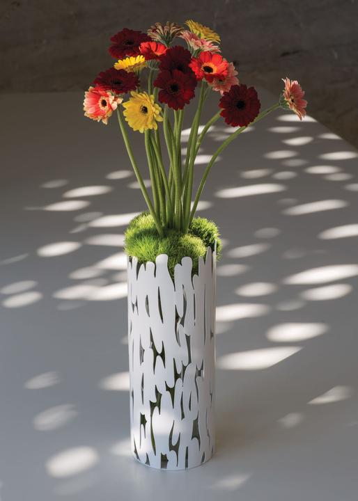 Image du produit Alessi Vase à fleurs Barkvase MB05 (1 x, 28 x 10,5 cm)