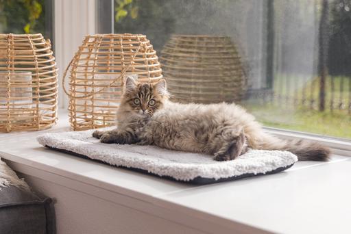 Actual product image Beeztees Fensterbankmatte Moos (Cat)