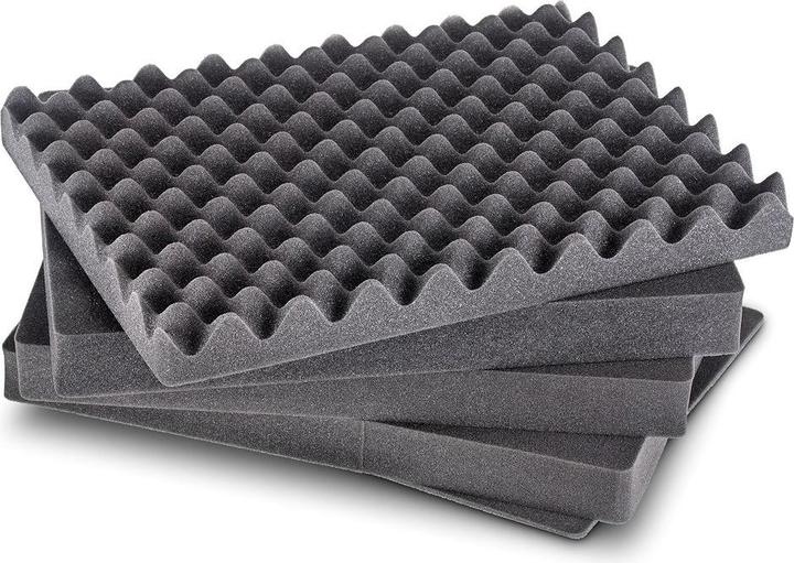 Image du produit B&W International Photo case for B&W SI pre-cut foam for Type 6000 - SI / 6000 (Mallette photo)