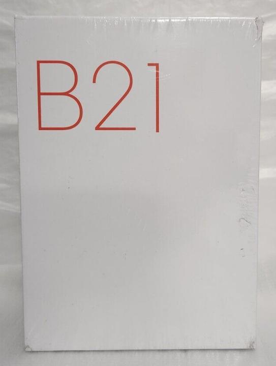Produktbild Niimbot B21 (203 dpi)