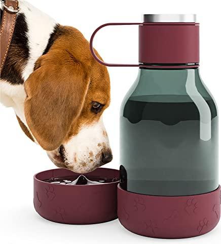 Actual product image Asobu Tritan Bowl Bottle - Burgundy - (84259103968) (150 cl)