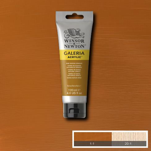 Actual product image Winsor & Newton Galeria Acrylic 120Ml Raw Sienna Opaque 553 (Raw Sienna Opaque, 120 ml)