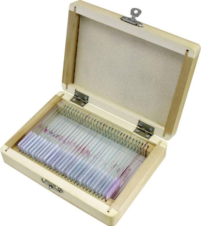 Productafbeelding Bresser Permanente preparaten: Histologie