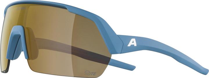 Actual product image Alpina Sports Turbo HR Q-Lite (Smoke-grey matt, Gold)