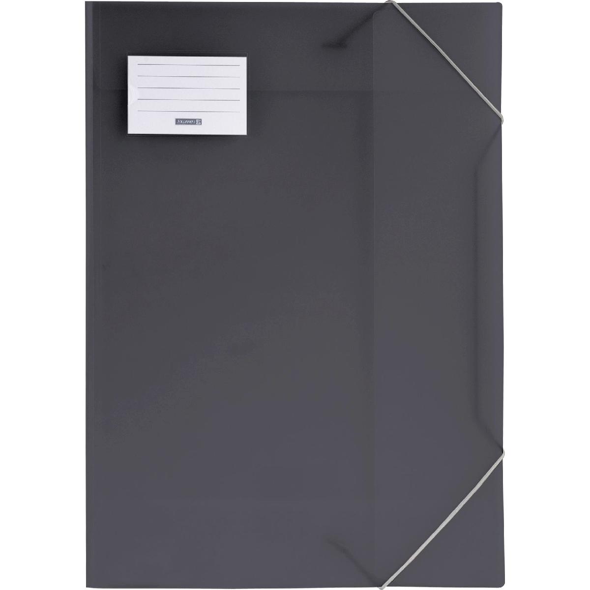 Brunnen, Mappe, Zeichenmappe FACT!pp DIN A3 grau transparent (A3, 1 x)