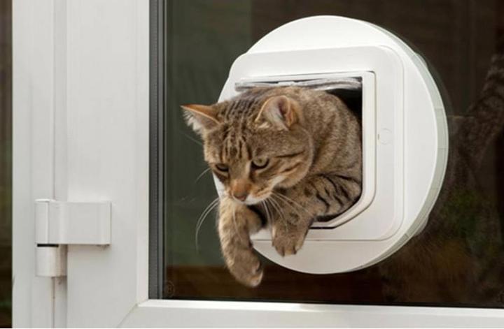 Actual product image SureFlap Microchip (Microchip Cat Flap)