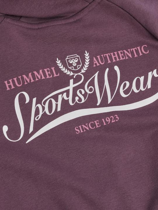 Image du produit hummel hmlJR LOOSE HOODIE BTS (104)