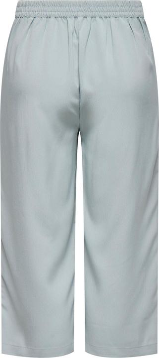 Actual product image Only ONLNOVA Normal geschnitten Hose Hose (Frequency band 38 (2600 MHz))