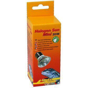 Lucky Reptile Halogen Spotstrahler Sun Mini 20W 2Stk, Terrariumbeleuchtung