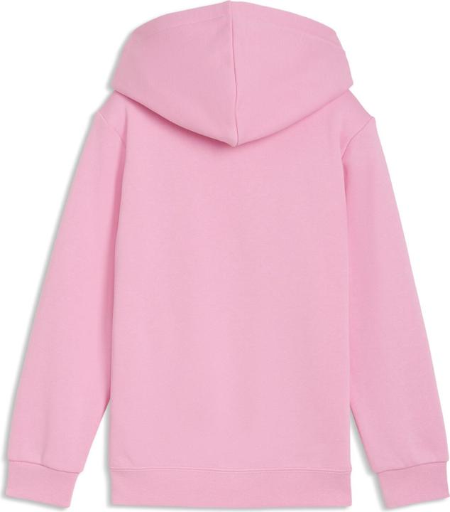 Produktbild Puma ESS No. 1 Logo Hoodie FL PS (98)