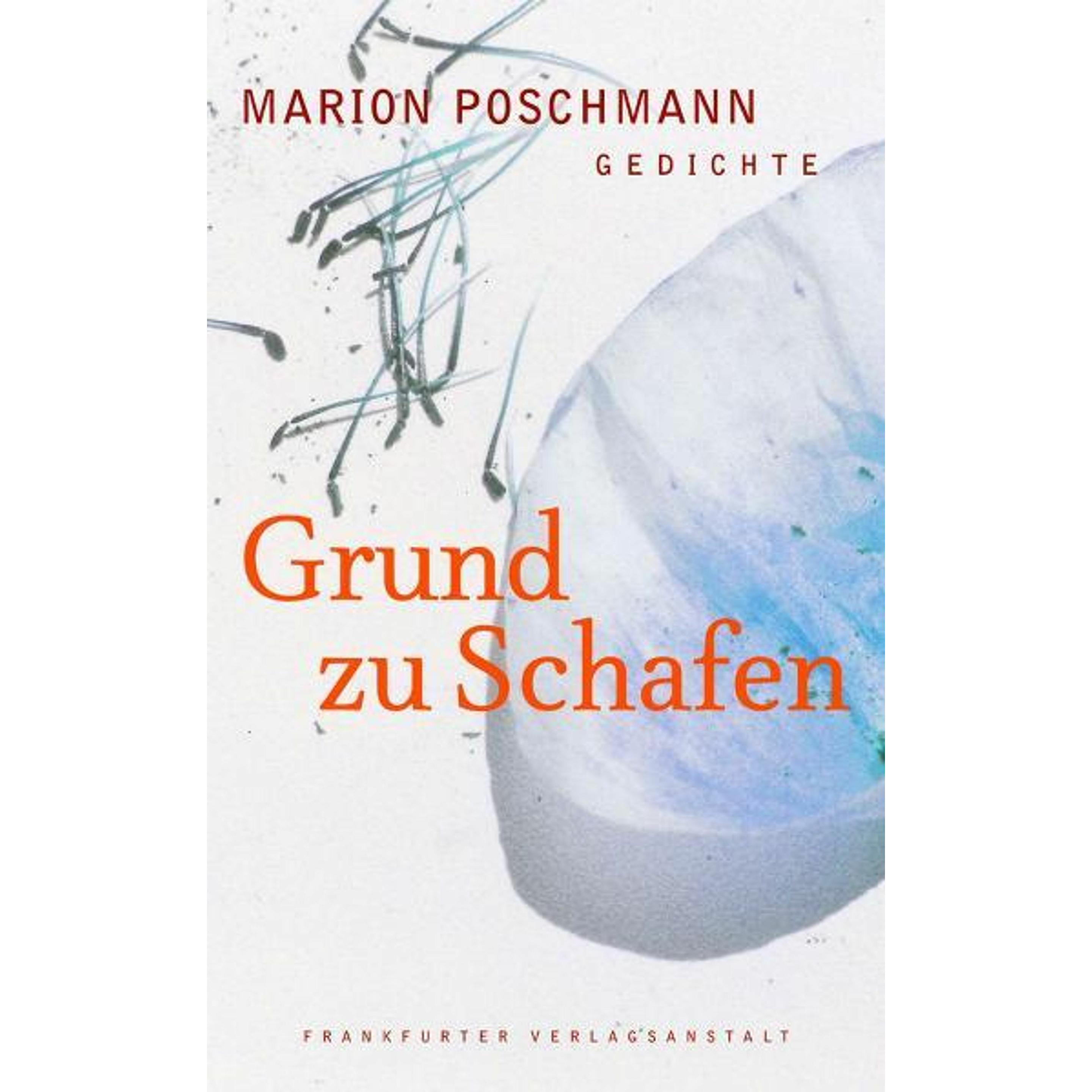Grund zu Schafen, Belletristik von Marion Poschmann