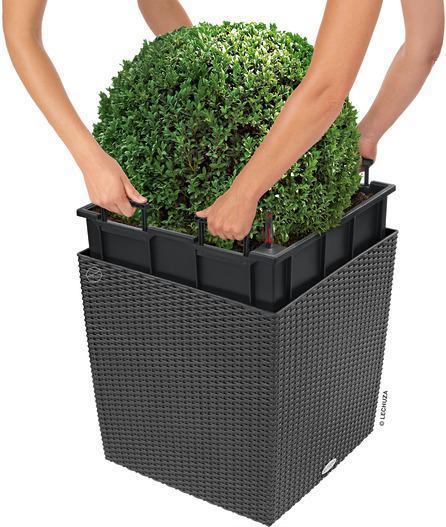 Produktbild Lechuza Cube (49 x 49 x 49.50 cm)