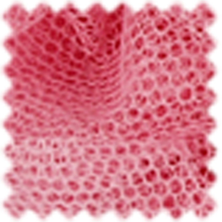 Actual product image Creativ Company Tulle 50 cm x 5 m