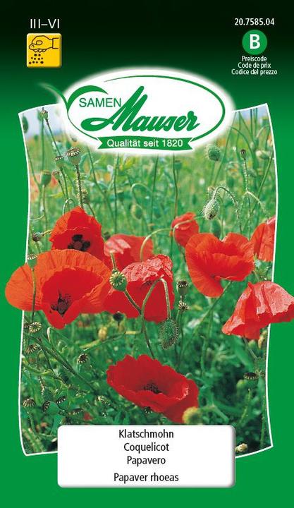 Samen Mauser Klatschmohn (Pflanzensamen)