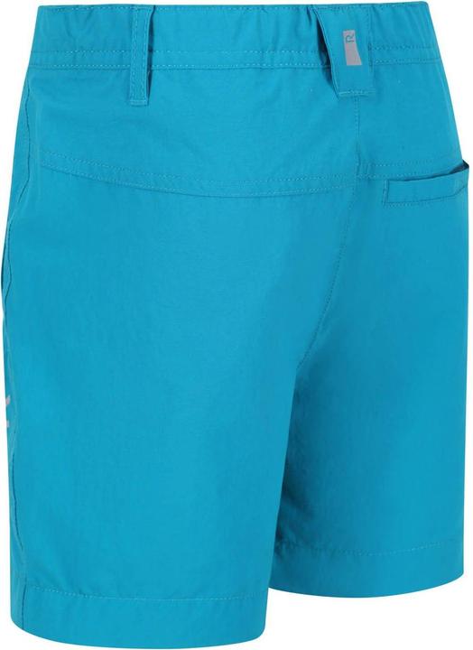Actual product image Regatta Childrens/Kids Highton Walking Shorts (116)