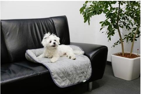 Image du produit Kerbl Emalia (Chien)