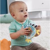 Actual product image Fisher-Price 2-in-1 Bauchlage Otter (24.13 cm)