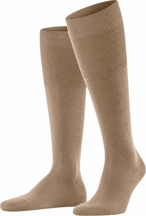 Braun, Camel
