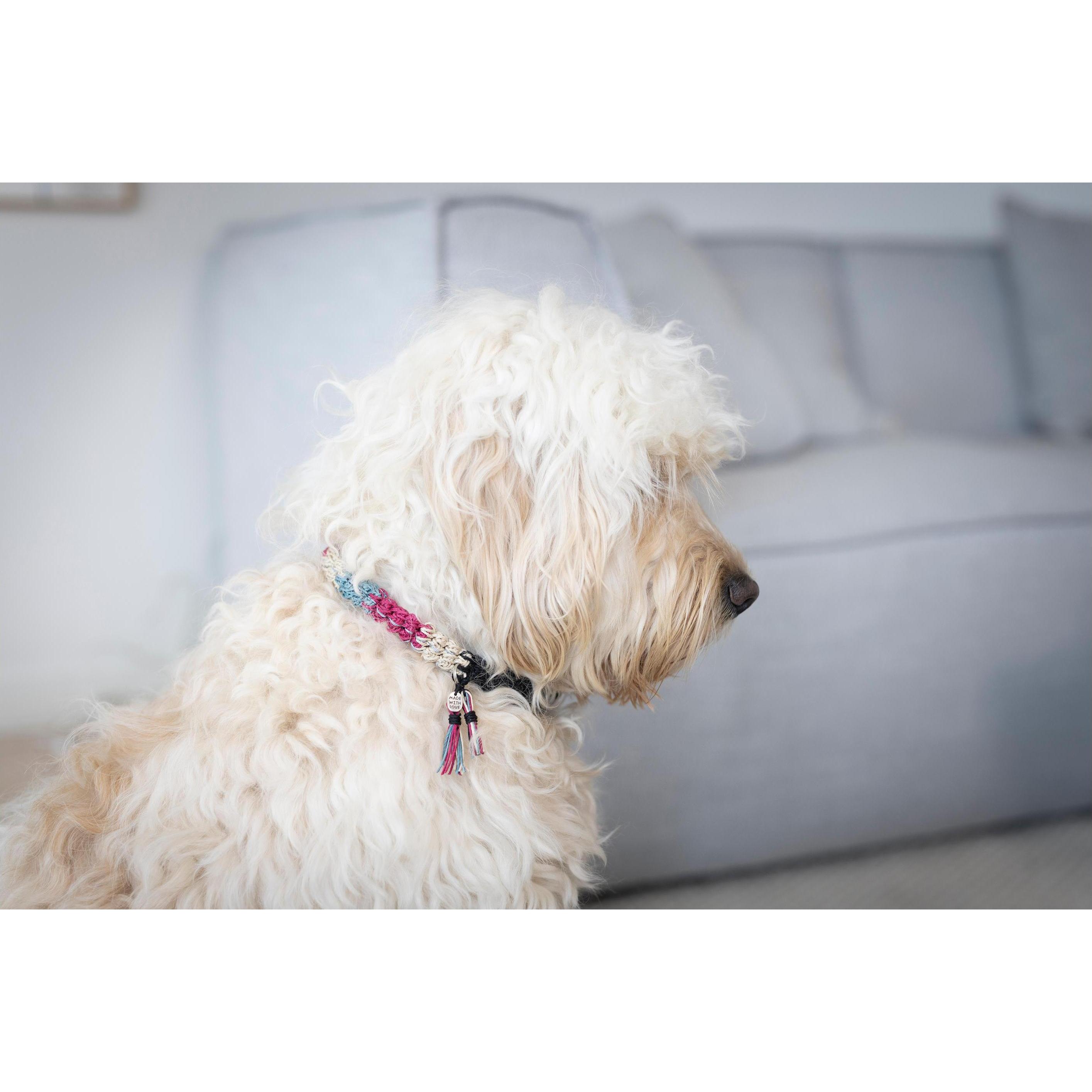Thumbnail - Creativ Company Bastelset Häkeln Hundehalsband