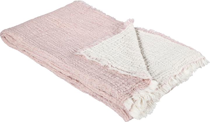 Rosa, rosa chiaro, Viola/rosa