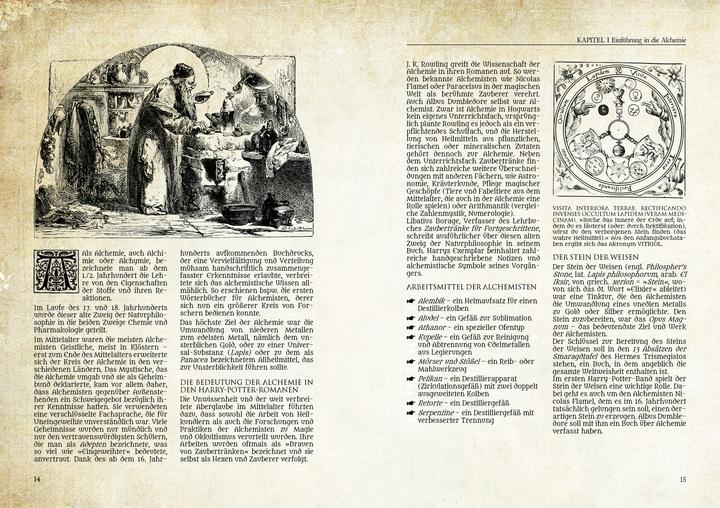 Immagine prodotto Das inoffizielle Harry-Potter-Buch der Zaubertränke (Tedesco, Višnja Cavlina, 2022)