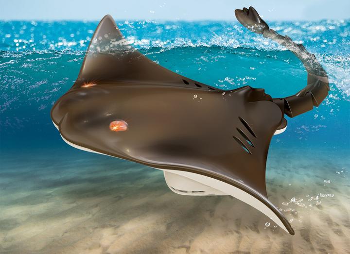 Actual product image Totally Tech RC Stingray 2.4 Ghz with light