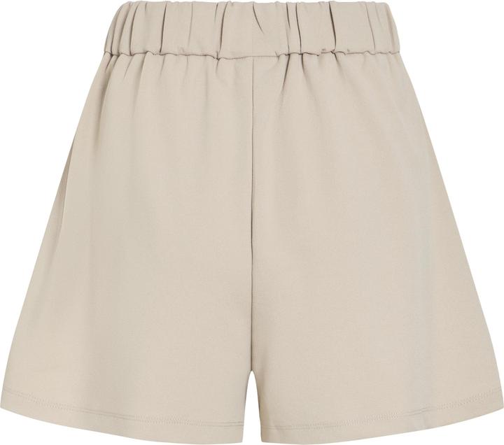 Image du produit Vila VICLARA High Waist Shorts (M)