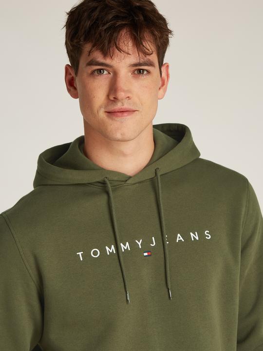Productafbeelding Tommy Jeans Tjm Reg Linear Logo Hoodie Ext (L)