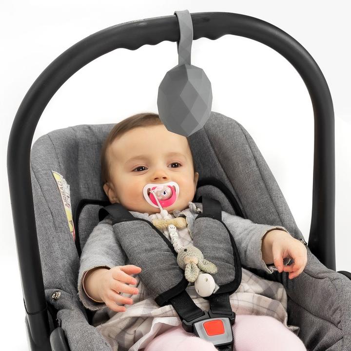 Produktbild MiaMia Schnullerboxen Silikon-Schnullerbox / Schnullerhalter