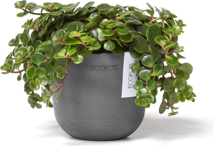 Immagine prodotto Ecopots Oslo Mini (11.50 cm)