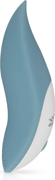 Actual product image Bloom Tulip