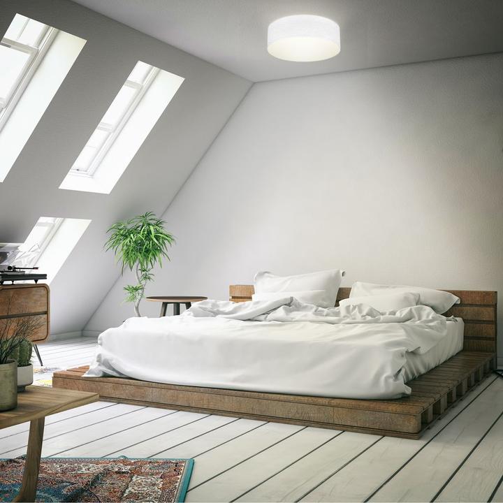 Image du produit B.K.Licht Plafonniers (E27)