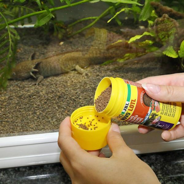 Image du produit JBL Aquaristik und Terraristik ProNovo LOTL GRANO S 100ml CLICK (100 ml)