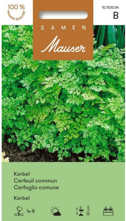 Produktbild Samen Mauser Kerbel einfacher (Kräutersamen)