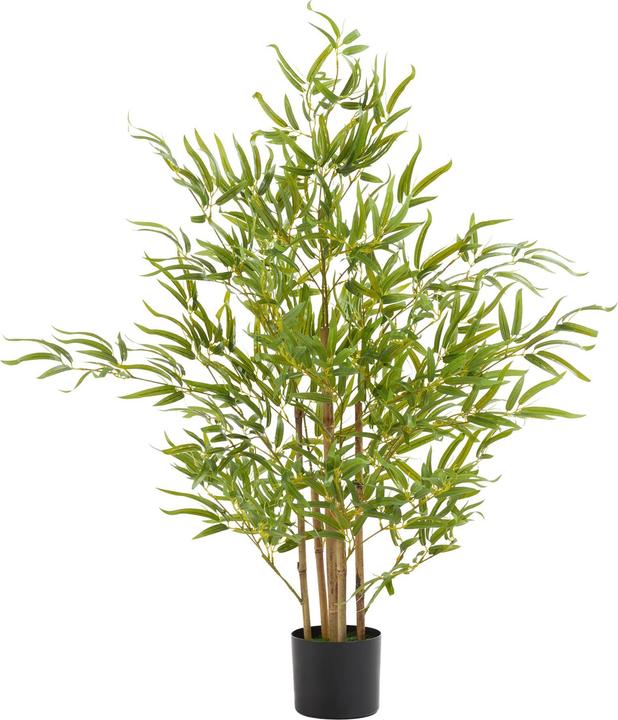Image du produit tectake Bambusbaum Bambosa (120 cm)