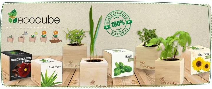 Produktbild Feel Green Herzblattklee (Pflanzensamen)