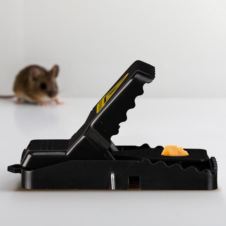 Actual product image Relaxdays Wiederverwendbare Mausefalle im 8er Set