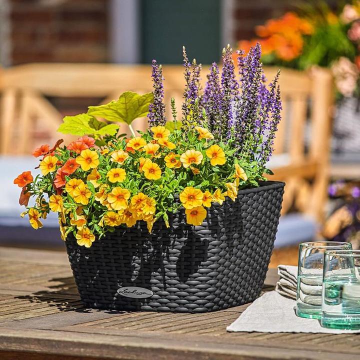 Produktbild Lechuza BACINO Cottage