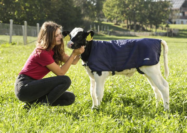 Actual product image Kerbl Calf blanket EasyWear, light version, 70cm