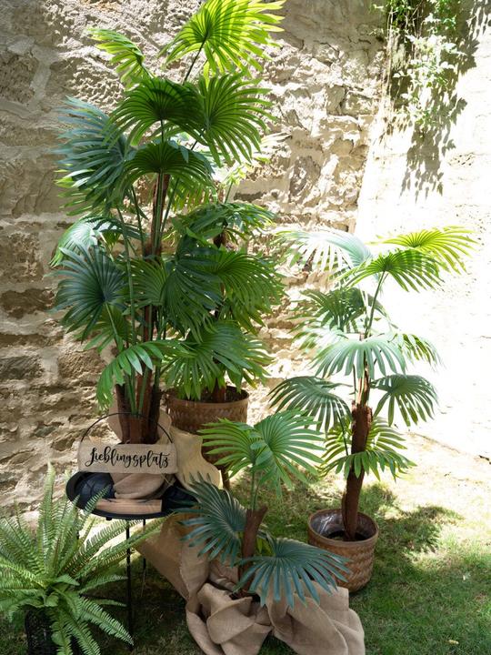 Produktbild Europalms Fächerpalme, Kunstpflanze, 165cm