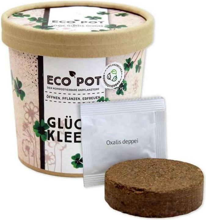 Image du produit Feel Green EcoPot Glücksklee