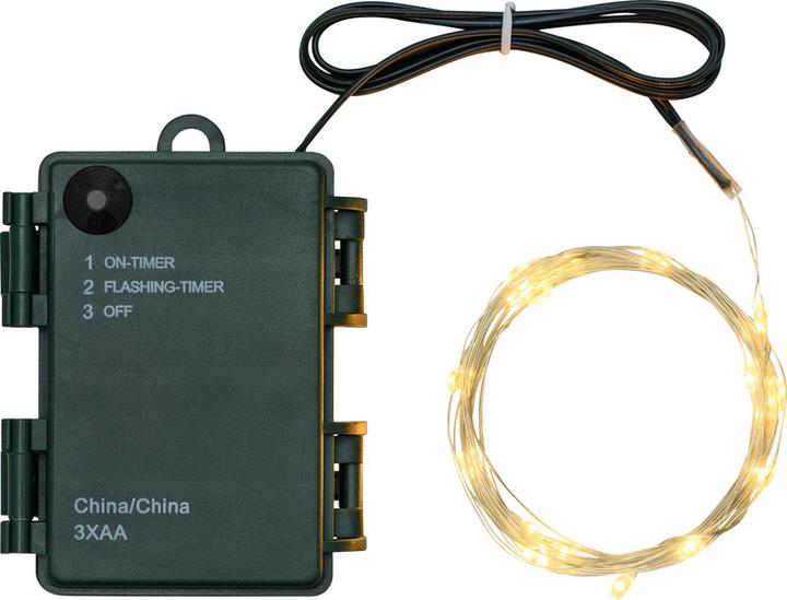 Lotti Lichterkette Micro-LED mit Timer (4 m)