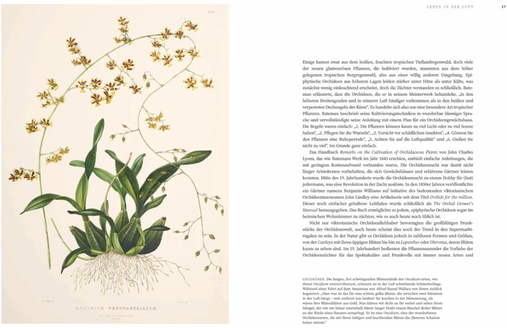Actual product image Orchideen (German, Sandra Knapp, 2022)