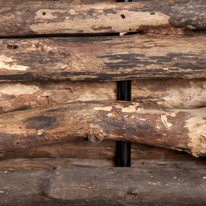 Actual product image Licht-Erlebnisse Sisse (E27)