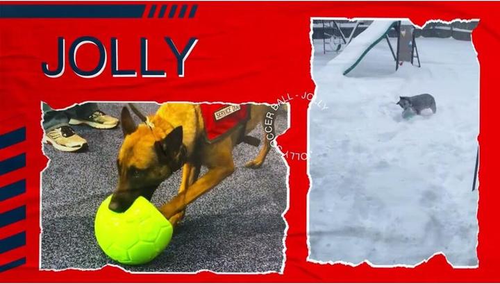Produktbild Jolly Pets Jolly Soccer Ball Orange XS (10 cm) (Ballspielzeug Hund)